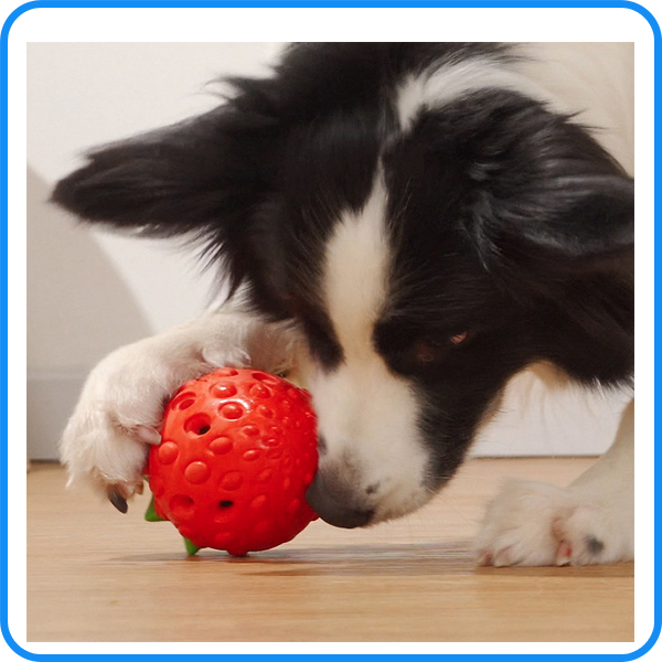 Non-Customized Rope Pet Toys Factory Direct - CE/ISO Certified Pet Chew Toys Bulk Order