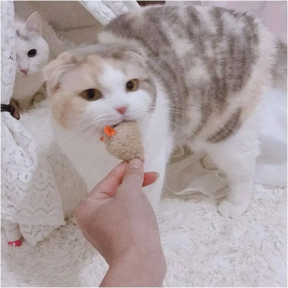 Bulk Order Sustainable Cat Toys - 10.5cm Soft Plush Mouse for Pet Playing