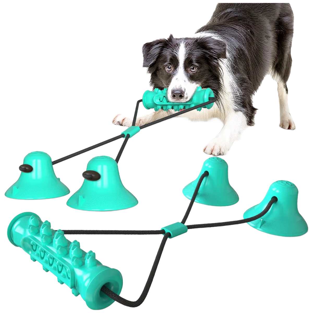 Factory Supply Durable TPR+PP Rope Pet Toys - Dark Blue and Green Color Options