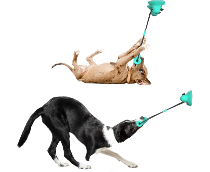 Factory Supply Durable TPR+PP Rope Pet Toys - Dark Blue and Green Color Options