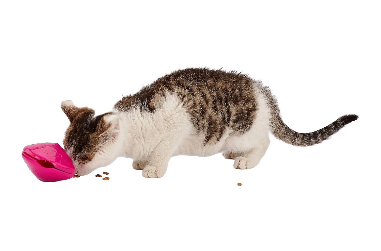 Customizable Pet Egg Toy with Leaky Food Feature for Cats and Dogs Play