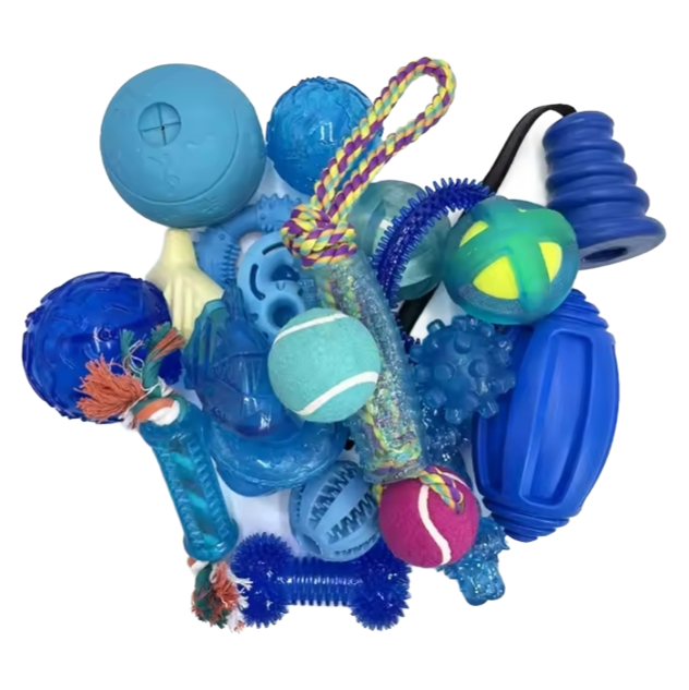 CKY - S Model Dog Rubber Products - Custom Packaging, Sample Available, Strict Quality Control from Chinese Factory