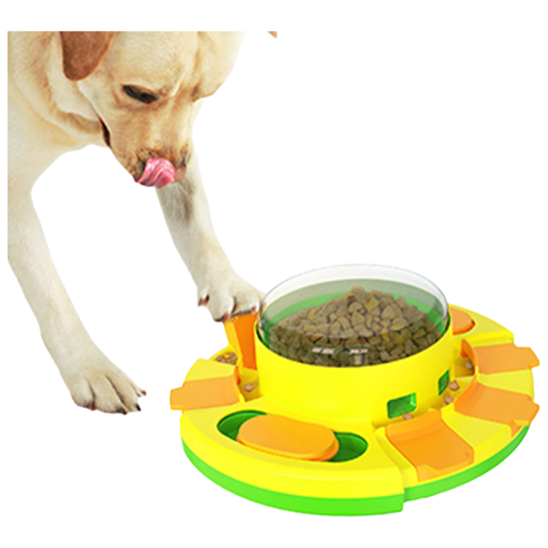 Custom Plastic Slow Feeder Dog Bowl - Interactive Puzzle Toy for Dogs