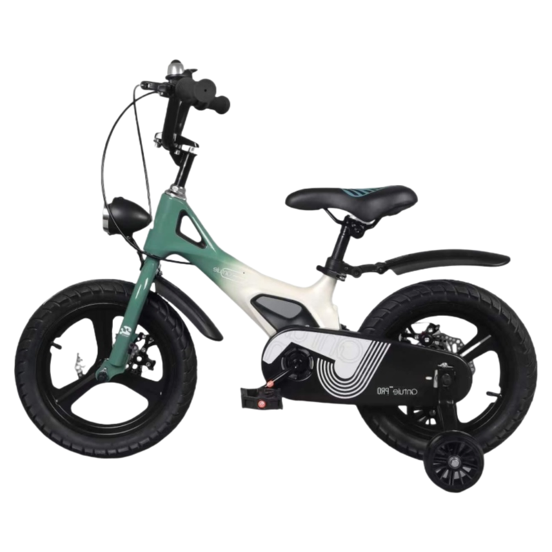 China Factory Direct Supply Durable Kids Training Bike with Magnesium Alloy Frame