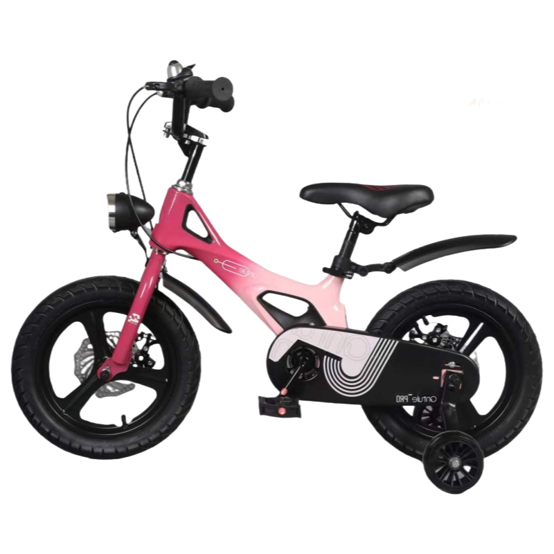 China Factory Direct Supply Durable Kids Training Bike with Magnesium Alloy Frame