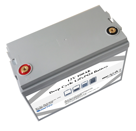 Custom OEM LiFePO4 Battery 12V 100Ah with Bluetooth Monitoring Function