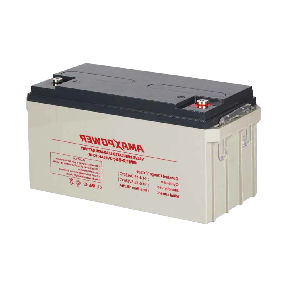 12V 65Ah VRLA AGM Battery for UPS Systems - OEM/ODM Factory Direct Supply