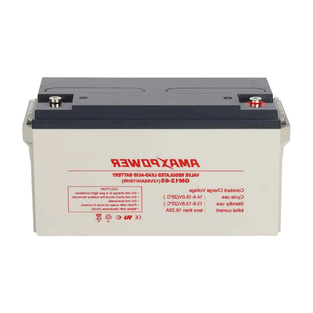 12V 65Ah VRLA AGM Battery for UPS Systems - OEM/ODM Factory Direct Supply