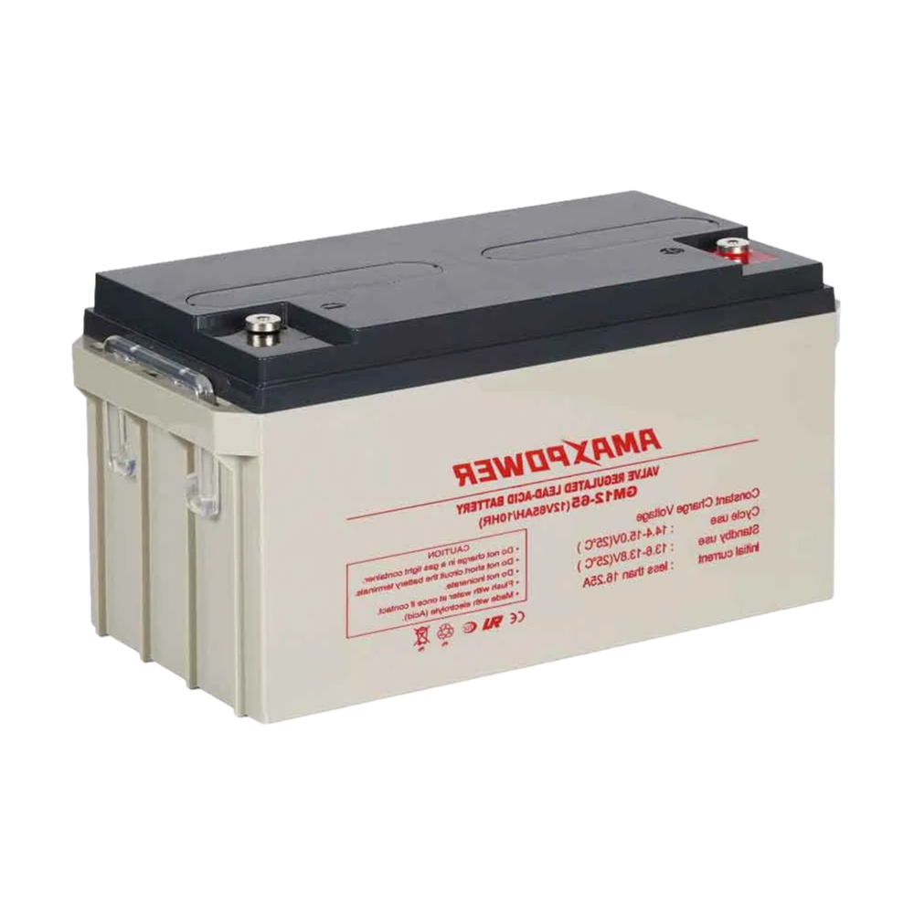 12V 65Ah VRLA AGM Battery for UPS Systems - OEM/ODM Factory Direct Supply