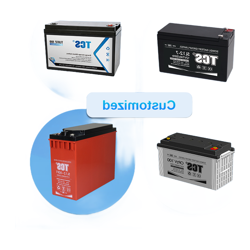 TCS Brand SL12-24L Maintenance Free Lead-Acid Battery with 3-5 Years Service Life - Customizable Options
