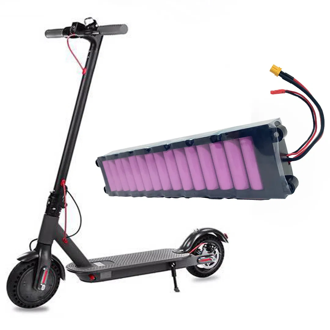 Factory Supply 36V 6Ah Rechargeable LiFePO4 Battery for Mobility Scooters Bikes