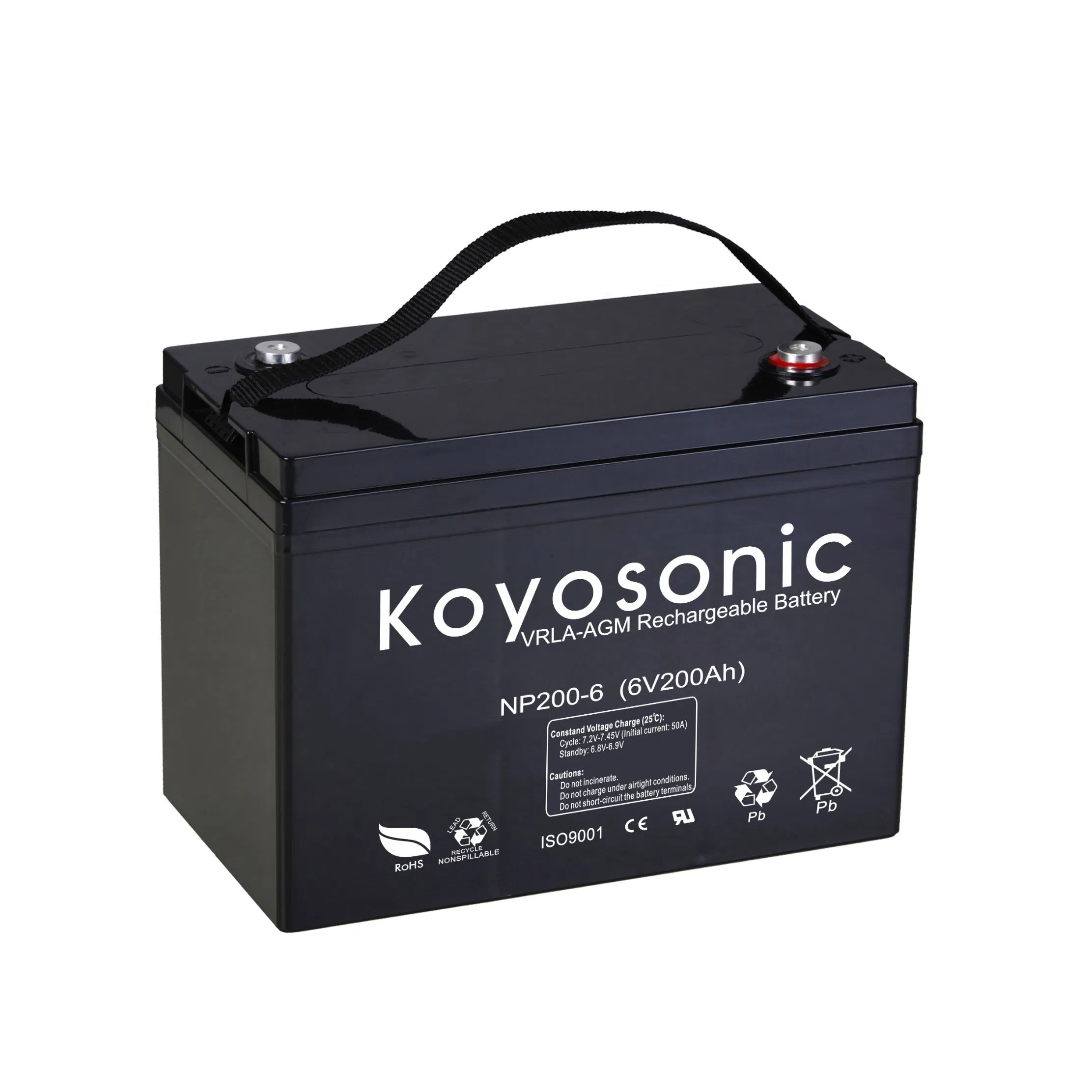 High Capacity 6V 200Ah AGM Battery Supplier for Golf Carts and Wheelchairs