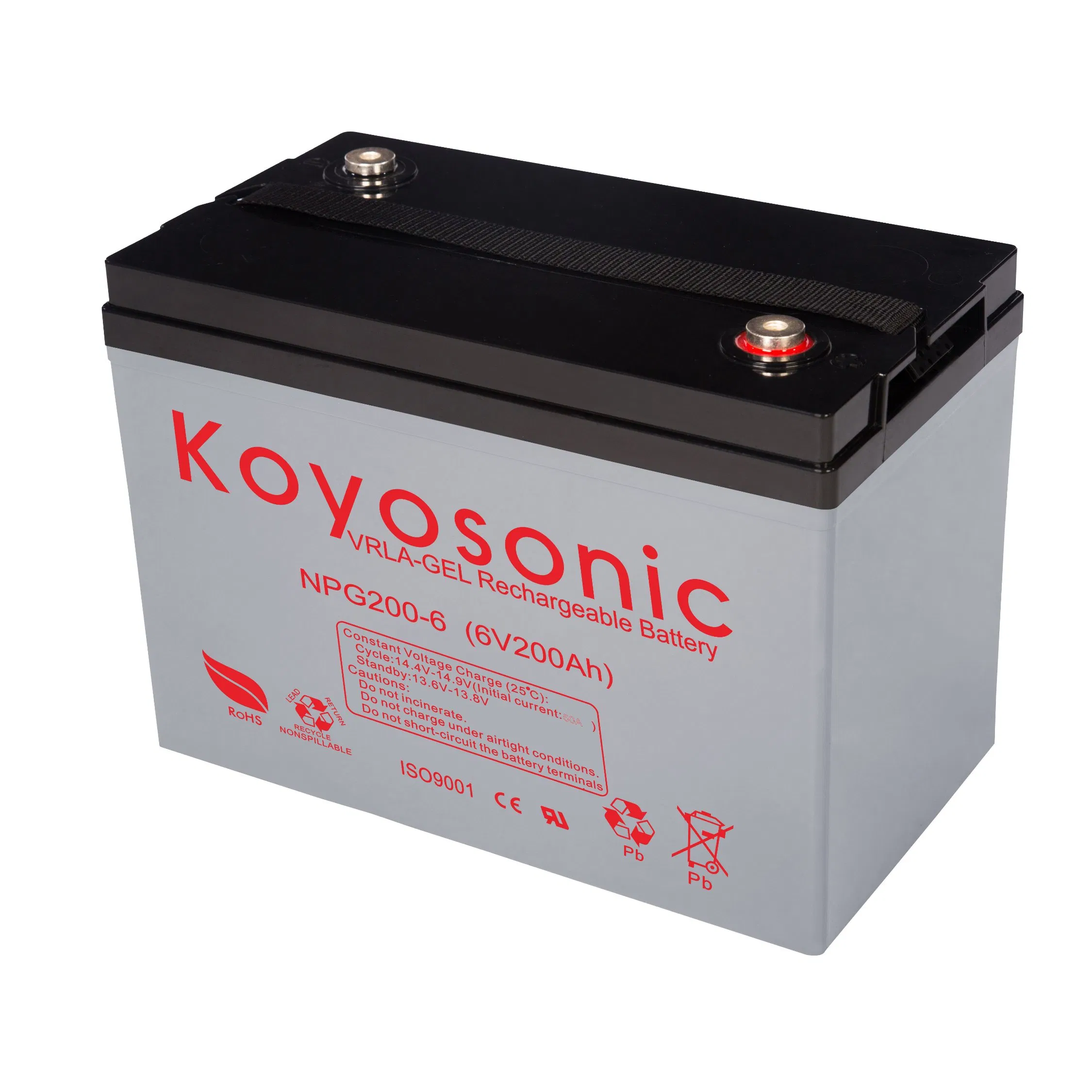 High Capacity 6V 200Ah AGM Battery Supplier for Golf Carts and Wheelchairs