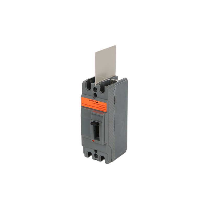 CE Certified Low Voltage Circuit Breaker with RCCB Function for Power Systems