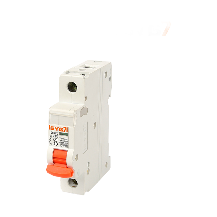 Customizable CKYB2-65 Low Voltage Circuit Breaker with CE CB Certification for Export