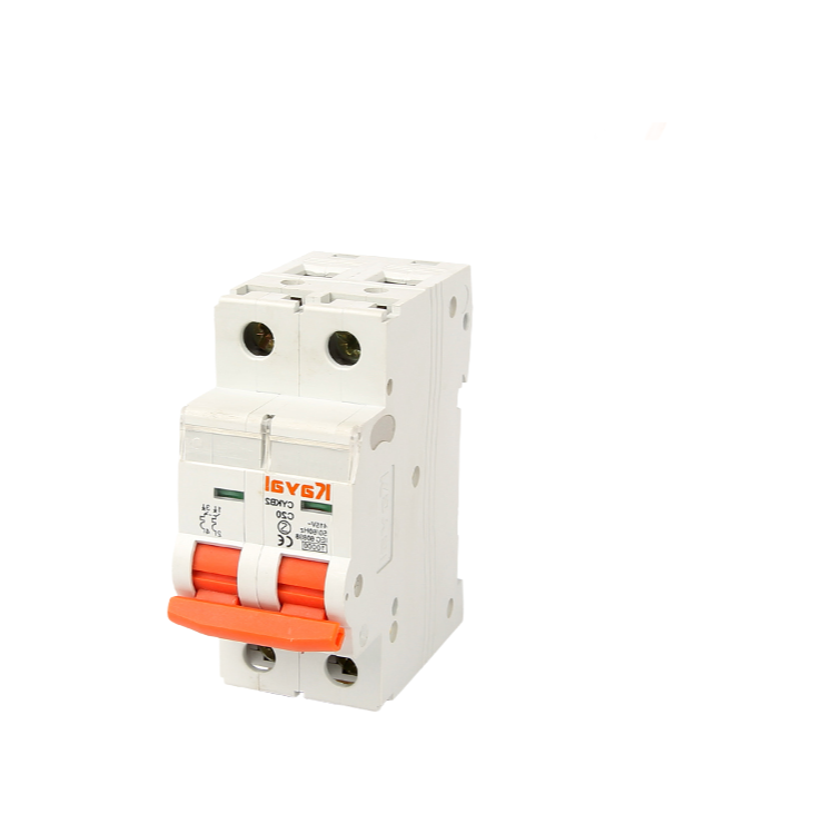 Customizable CKYB2-65 Low Voltage Circuit Breaker with CE CB Certification for Export