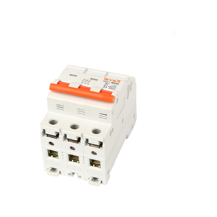 Customizable CKYB2-65 Low Voltage Circuit Breaker with CE CB Certification for Export