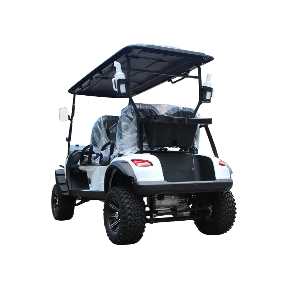 Durable 4 Wheel Disc Brake Golf Cart with Aluminum Alloy Differential for Smooth Ride