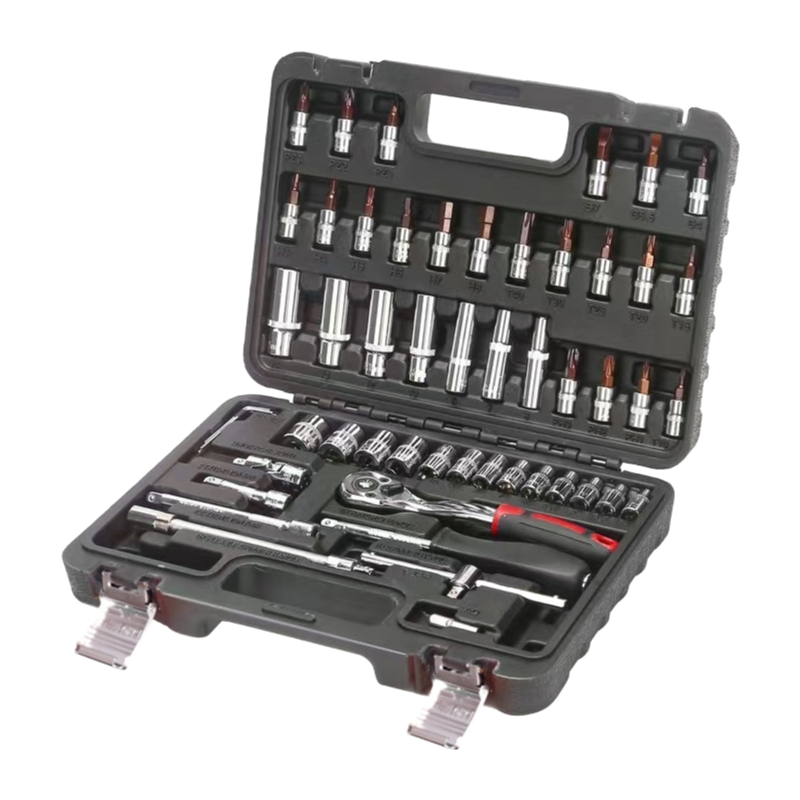 53PCS 1/4 Inch Ratcheting Wrench Set with Storage Case - Professional Chrome Vanadium Steel Socket Set
