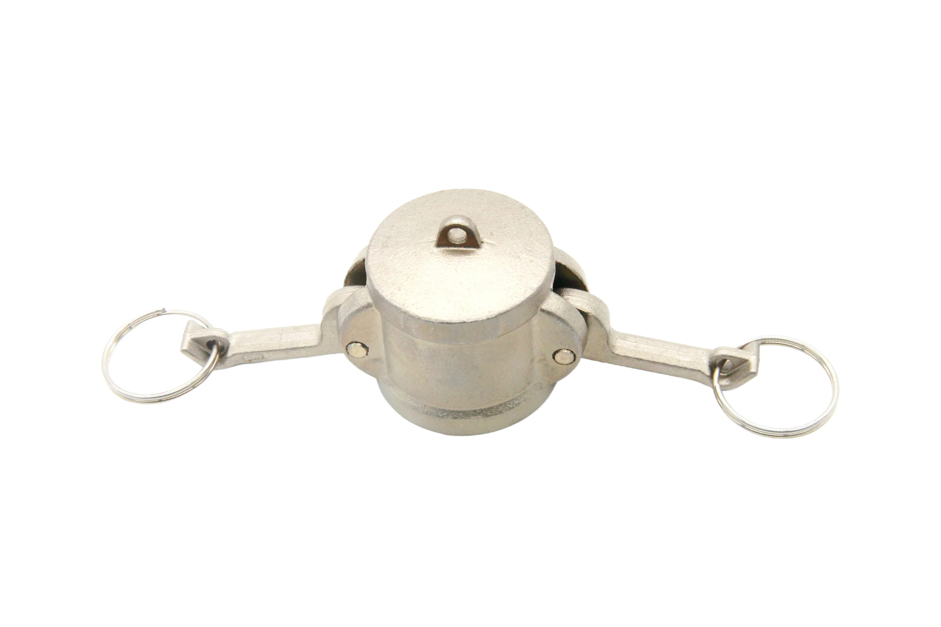 Customizable Stainless Steel Dust Cap Camlock with Multiple Sizes and OEM Options
