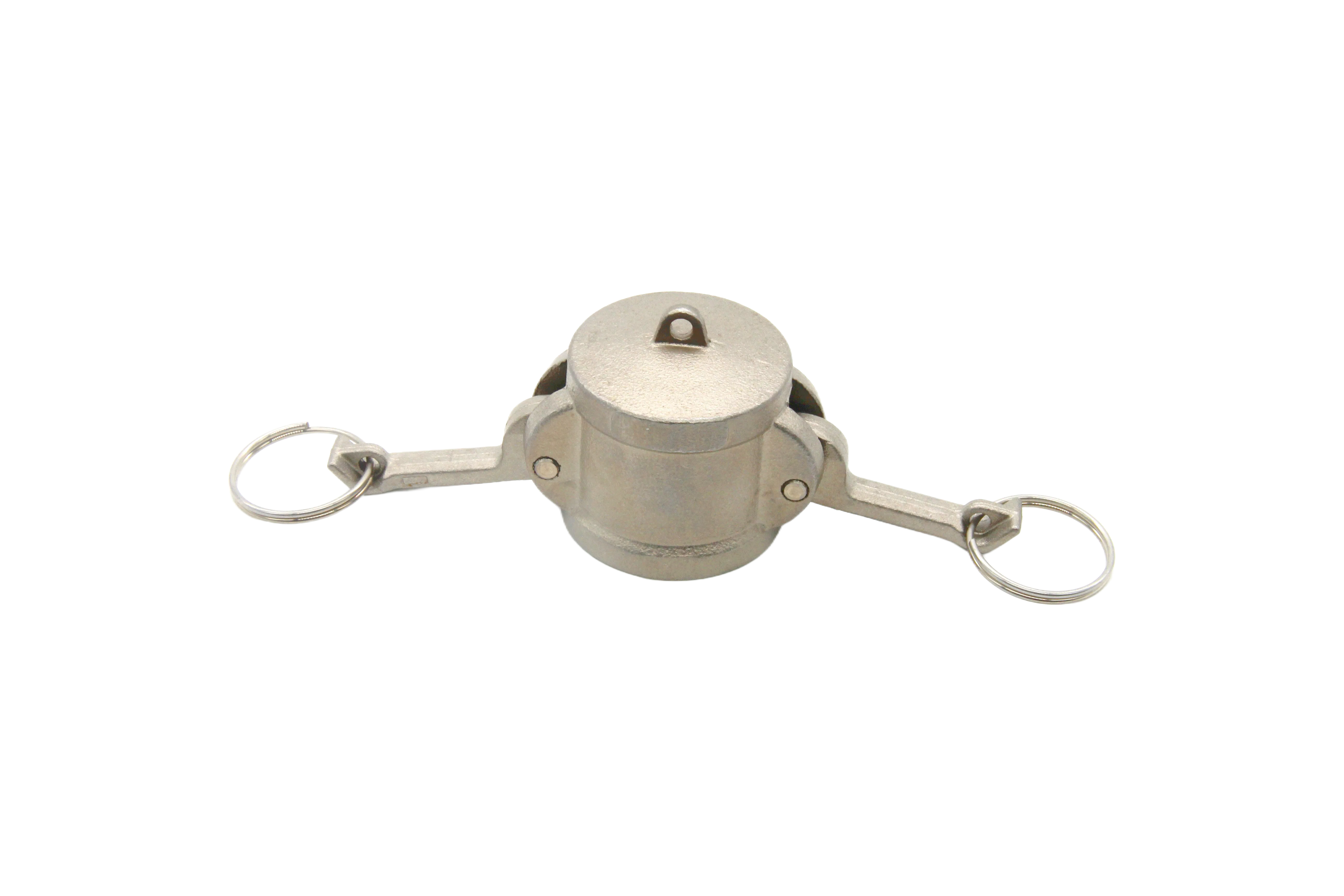 Customizable Stainless Steel Dust Cap Camlock with Multiple Sizes and OEM Options