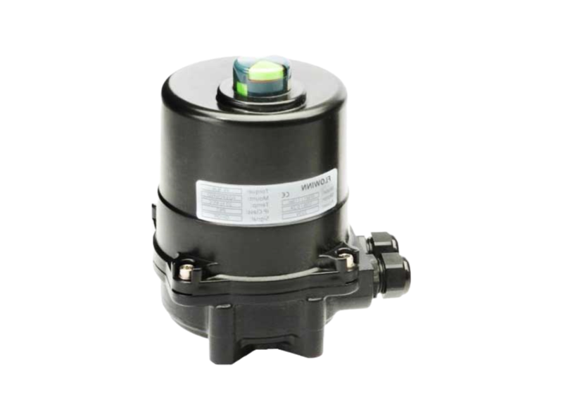 Customizable Electric Quarter Turn Actuator EFM1 Series with Multiple Voltage Options