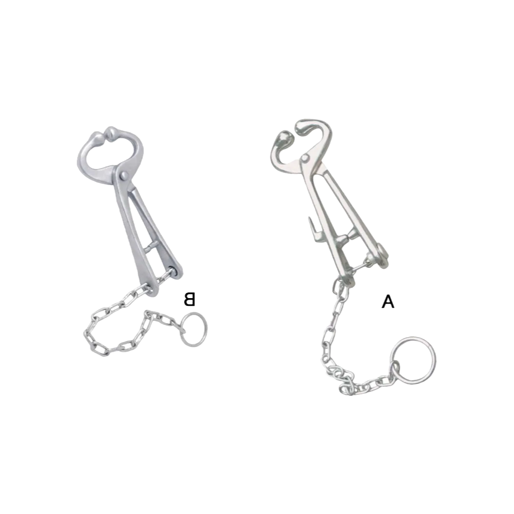 China - Made KD708 Bull Holder for Cattle, ZJKR Trademark, 20cm Stainless Steel, Factory Direct Wholesale & Custom Supply