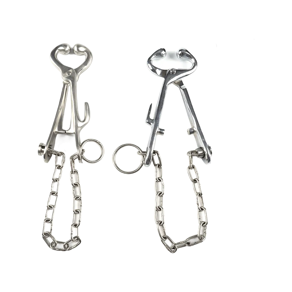 China - Made KD708 Bull Holder for Cattle, ZJKR Trademark, 20cm Stainless Steel, Factory Direct Wholesale & Custom Supply