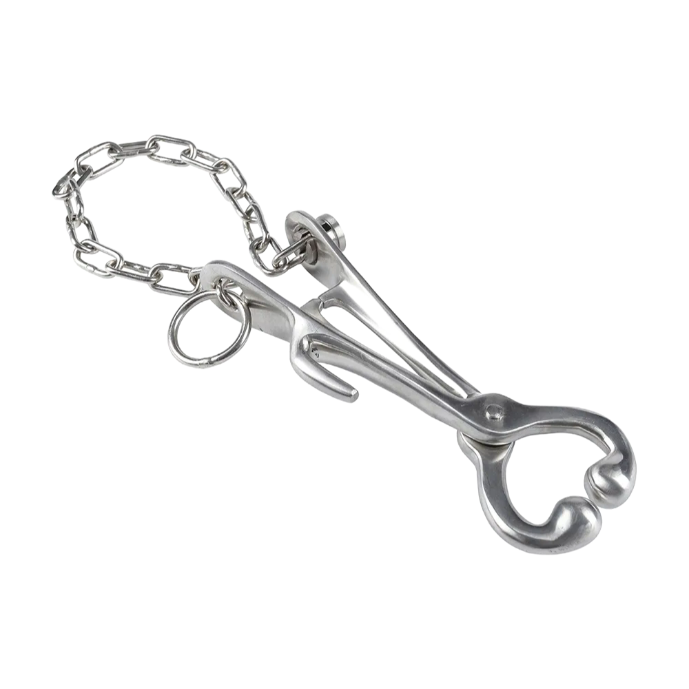 China - Made KD708 Bull Holder for Cattle, ZJKR Trademark, 20cm Stainless Steel, Factory Direct Wholesale & Custom Supply