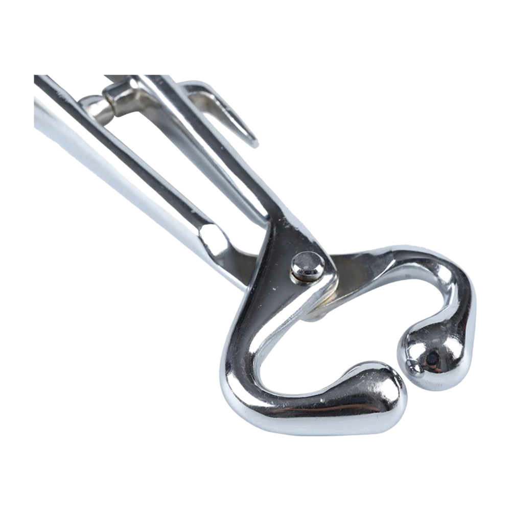China - Made KD708 Bull Holder for Cattle, ZJKR Trademark, 20cm Stainless Steel, Factory Direct Wholesale & Custom Supply