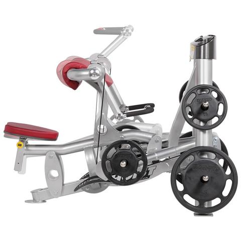 Customizable Biceps Curl Gym Equipment with Electrostatic Powder Coating Finish