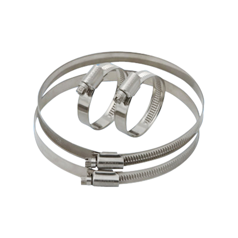 Factory Supply Insert Spring Hose Clamp with Non-Perforated Band and Hex Head Screw