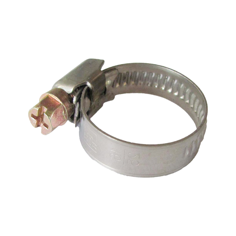 Factory Supply Insert Spring Hose Clamp with Non-Perforated Band and Hex Head Screw