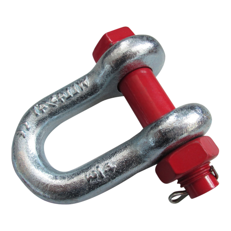 Stainless Steel Wide D Shackle 304/316 Industrial Grade for Rigging and Marine Applications