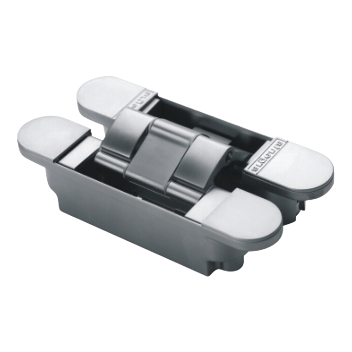 Customizable Door Hinge EEG002 in SSS/PVD/Rose Gold Finish - Bulk Order Discount