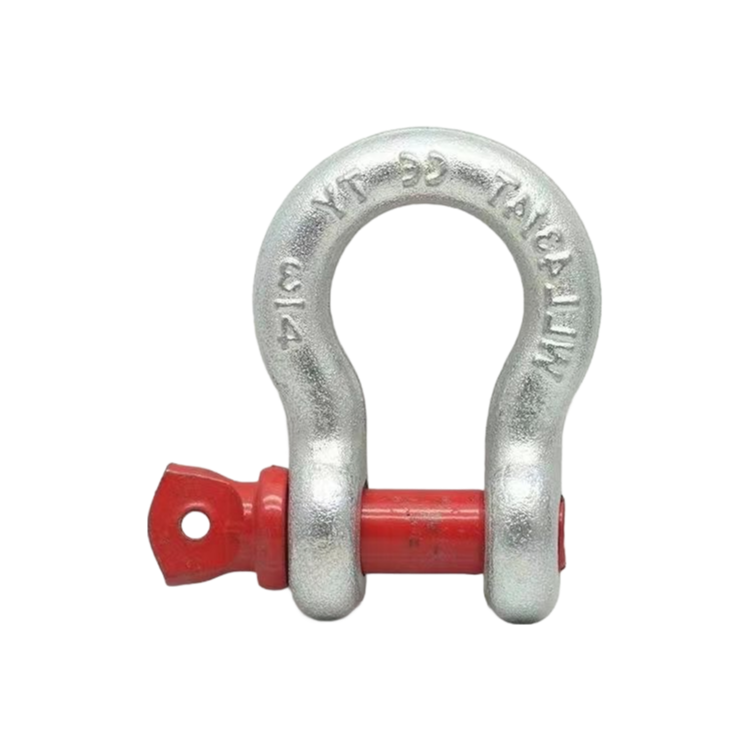 Industrial Grade D Shape Anchor Shackles Hot Dip Galvanized Finish EN 13889 Certified