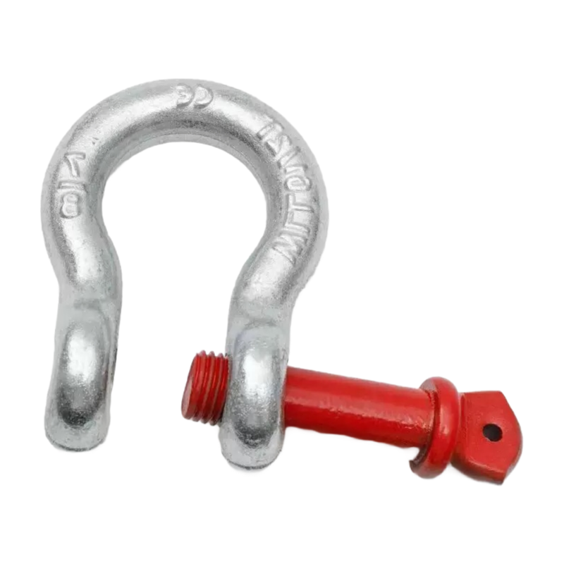 Industrial Grade D Shape Anchor Shackles Hot Dip Galvanized Finish EN 13889 Certified