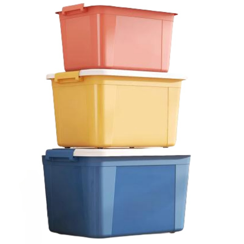 High Quality Custom Plastic Injection Moulds for PP Products with 2 Years Warranty