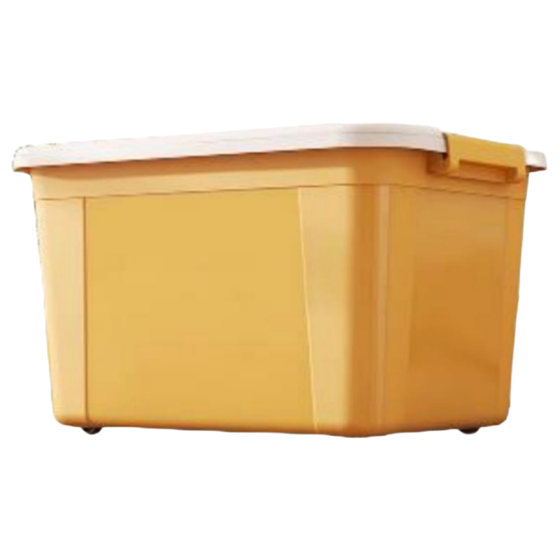High Quality Custom Plastic Injection Moulds for PP Products with 2 Years Warranty