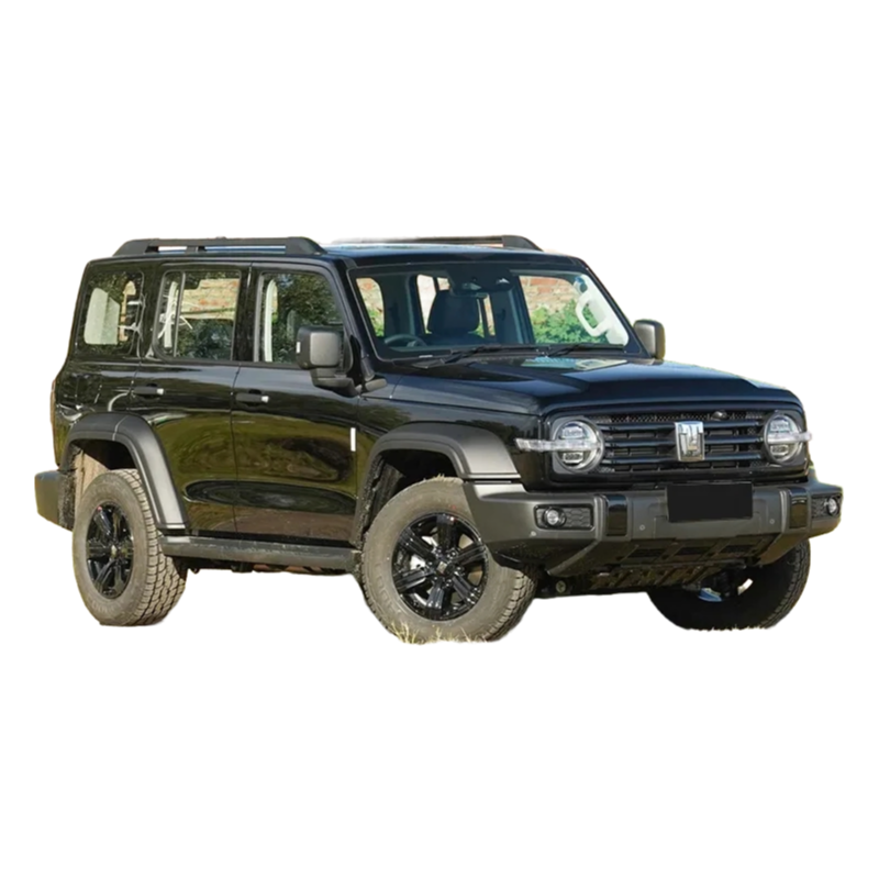 Tank 300 2023 Model 2.0T Iron Rider 02 SUV Car - High Performance Off-Road Vehicle