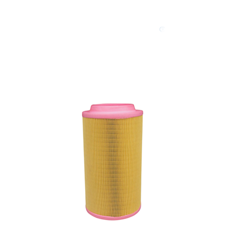 Premium Dry Type Air Filter AF25729 with One Year Warranty Guarantee