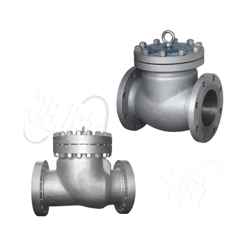 Bulk Supply of Stainless Steel Check Valves with Flange Connection and Custom Options