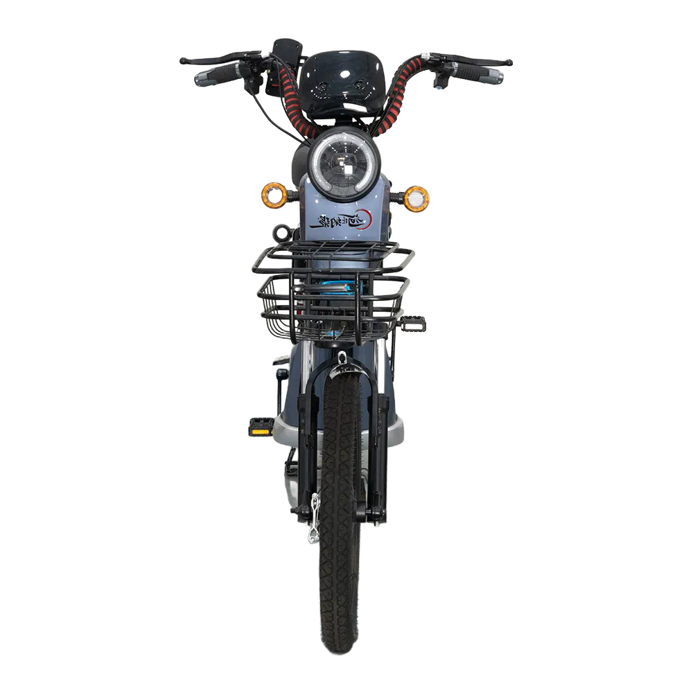 Bulk Order NQ-0010 Electric Scooter with 3 Months Warranty and Intelligent Speed Control System