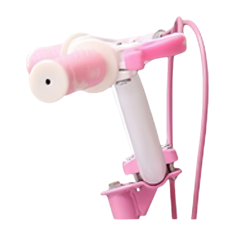 12-16 Inch Girls Bicycle with Training Wheels - Steel Frame Kids Bike for Ages 3-8