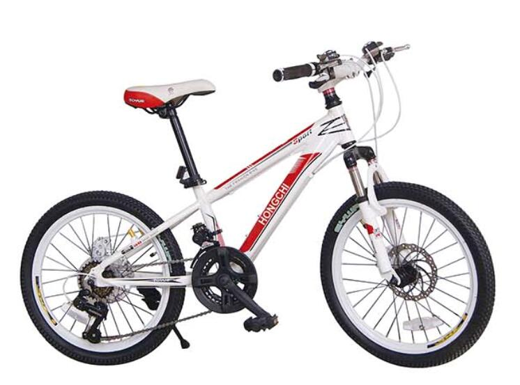 12-20 Inch Kids Bicycle for Boys & Girls 3-8 Years Old - Steel Frame Children's Bike with Training Wheels