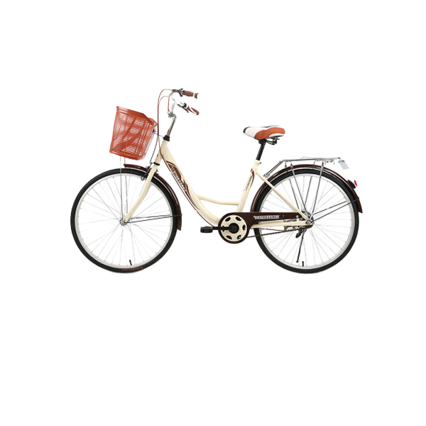 Custom OEM Women's Road Bike 21 Speed Disc Brake - Manufacturer Price