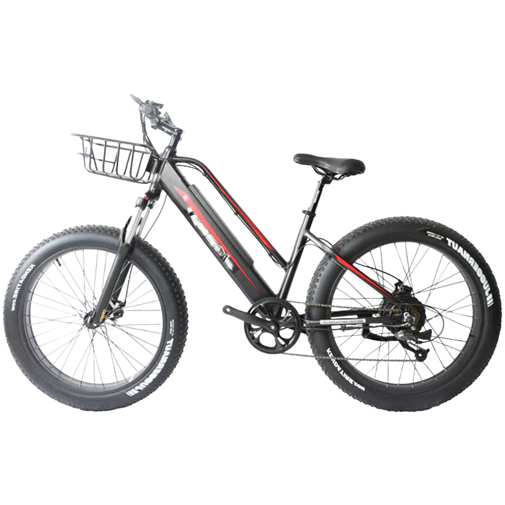 Custom OEM Electric Mountain Bike 27.5 Inch with Bafang M300 Motor and Shimano Gears