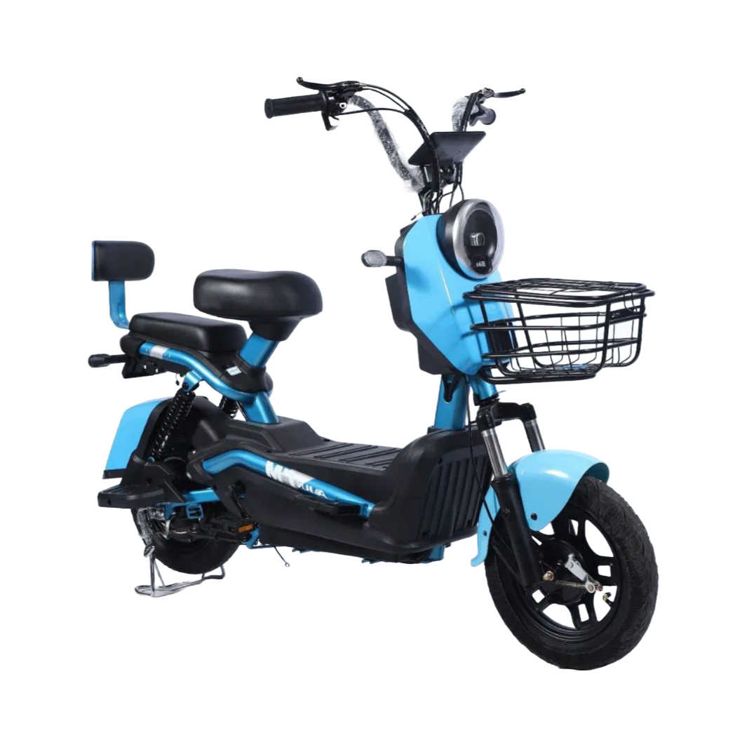 Supply 48V 500W Electric Motorcycle with Front Rear Shock Absorber and Foldable Design