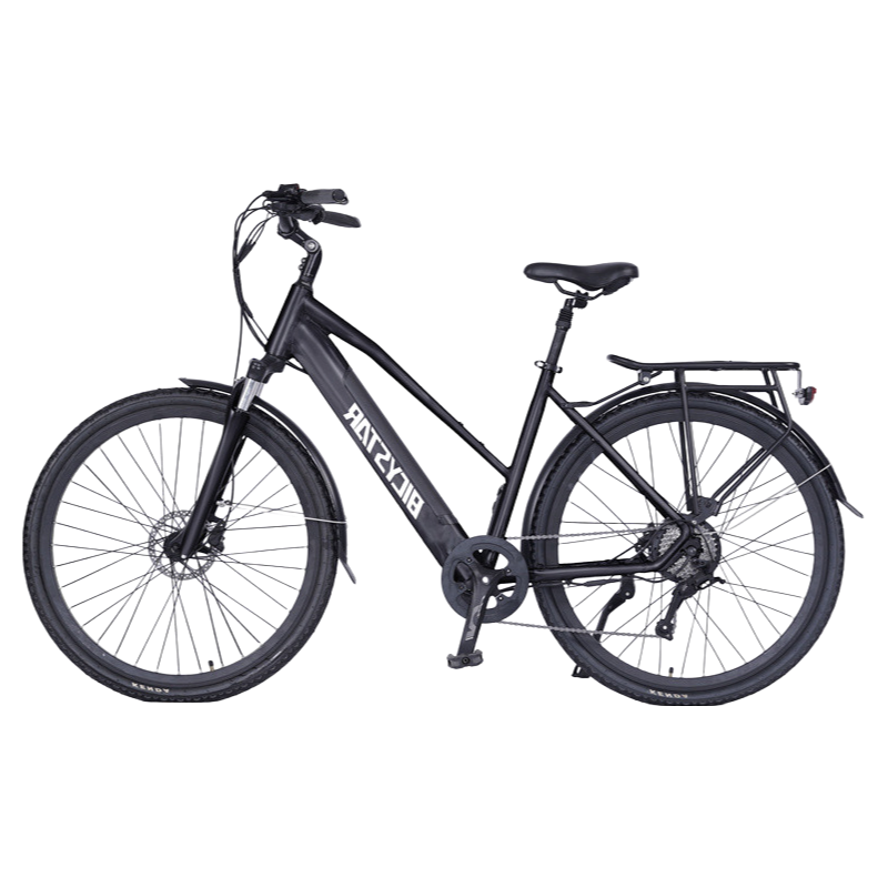 China Supplier OEM 24 Inch Electric Bicycle with 1000Wh Battery and 32Km/h Speed