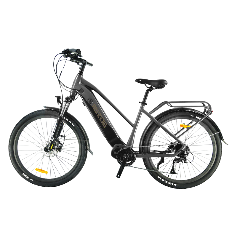 China Supplier OEM 24 Inch Electric Bicycle with 1000Wh Battery and 32Km/h Speed